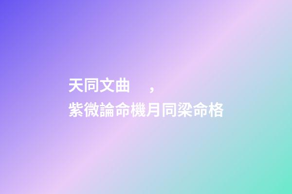 天同文曲，紫微論命機月同梁命格-第1張-觀點-玄機派